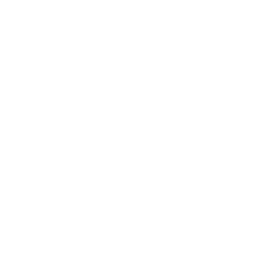Resolve